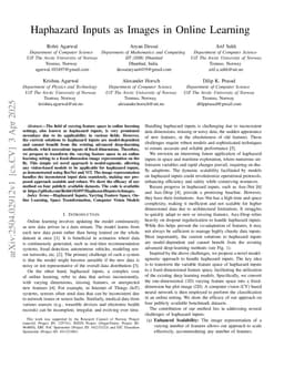 Haphazard Inputs as Images in Online Learning