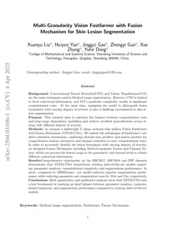 Multi-Granularity Vision Fastformer with Fusion Mechanism for Skin Lesion Segmentation