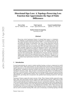 Directional Sign Loss: A Topology-Preserving Loss Function that Approximates the Sign of Finite Differences