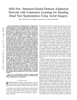 ADA-Net: Attention-Guided Domain Adaptation Network with Contrastive Learning for Standing Dead Tree Segmentation Using Aerial Imagery