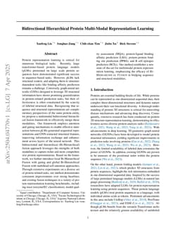 Bidirectional Hierarchical Protein Multi-Modal Representation Learning