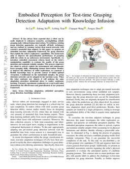 Embodied Perception for Test-time Grasping Detection Adaptation with Knowledge Infusion