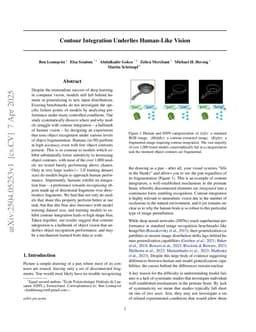 Contour Integration Underlies Human-Like Vision