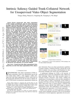 Intrinsic Saliency Guided Trunk-Collateral Network for Unsupervised Video Object Segmentation