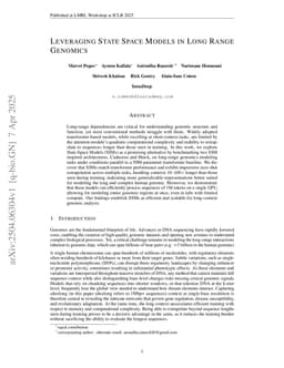 Leveraging State Space Models in Long Range Genomics