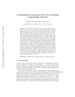 A Meaningful Perturbation Metric for Evaluating Explainability Methods