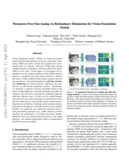Parameter-Free Fine-tuning via Redundancy Elimination for Vision Foundation Models