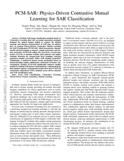 PCM-SAR: Physics-Driven Contrastive Mutual Learning for SAR Classification