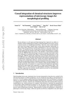 Causal integration of chemical structures improves representations of microscopy images for morphological profiling