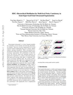 HDC: Hierarchical Distillation for Multi-level Noisy Consistency in Semi-Supervised Fetal Ultrasound Segmentation