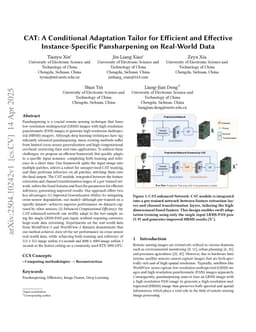 CAT: A Conditional Adaptation Tailor for Efficient and Effective Instance-Specific Pansharpening on Real-World Data