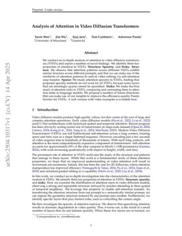 Analysis of Attention in Video Diffusion Transformers