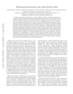 Inferring genotype-phenotype maps using attention models