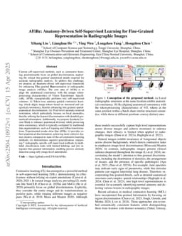 AFiRe: Anatomy-Driven Self-Supervised Learning for Fine-Grained Representation in Radiographic Images
