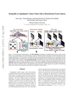 Seeing like a Cephalopod: Colour Vision with a Monochrome Event Camera