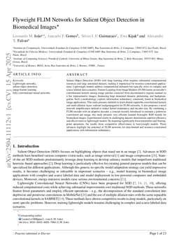 Flyweight FLIM Networks for Salient Object Detection in Biomedical Images