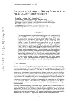 Divergence of Empirical Neural Tangent Kernel in Classification Problems