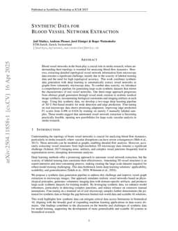 Synthetic Data for Blood Vessel Network Extraction