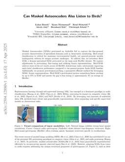 Can Masked Autoencoders Also Listen to Birds?