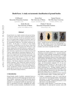 BeetleVerse: A study on taxonomic classification of ground beetles