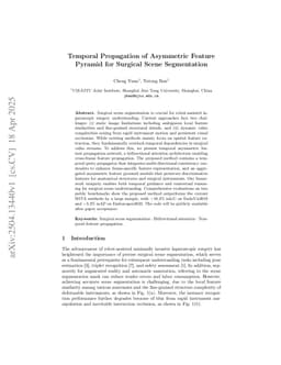 Temporal Propagation of Asymmetric Feature Pyramid for Surgical Scene Segmentation