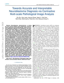 Towards Accurate and Interpretable Neuroblastoma Diagnosis via Contrastive Multi-scale Pathological Image Analysis