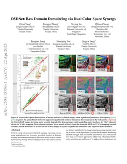 DSDNet: Raw Domain Demoiréing via Dual Color-Space Synergy