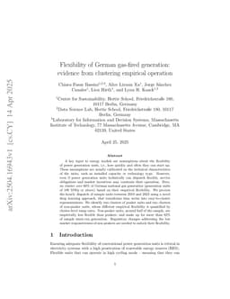 Flexibility of German gas-fired generation: evidence from clustering empirical operation