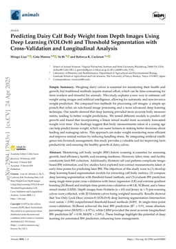 Predicting Dairy Calf Body Weight from Depth Images Using Deep Learning (YOLOv8) and Threshold Segmentation with Cross-Validation and Longitudinal Analysis