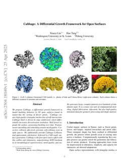 Cabbage: A Differential Growth Framework for Open Surfaces