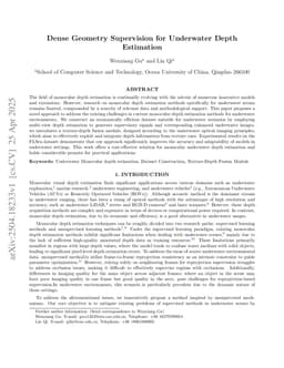 Dense Geometry Supervision for Underwater Depth Estimation