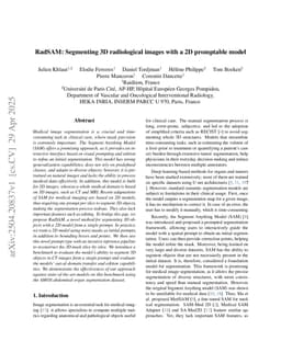 RadSAM: Segmenting 3D radiological images with a 2D promptable model