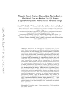 Mamba Based Feature Extraction And Adaptive Multilevel Feature Fusion For 3D Tumor Segmentation From Multi-modal Medical Image