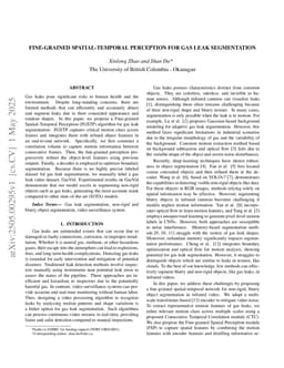 Fine-grained spatial-temporal perception for gas leak segmentation
