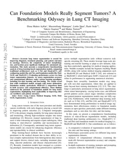 Can Foundation Models Really Segment Tumors? A Benchmarking Odyssey in Lung CT Imaging