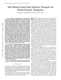 Soft-Masked Semi-Dual Optimal Transport for Partial Domain Adaptation