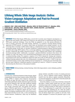 Lifelong Whole Slide Image Analysis: Online Vision-Language Adaptation and Past-to-Present Gradient Distillation