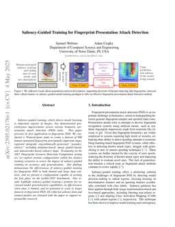 Saliency-Guided Training for Fingerprint Presentation Attack Detection