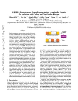 GRAPE: Heterogeneous Graph Representation Learning for Genetic Perturbation with Coding and Non-Coding Biotype