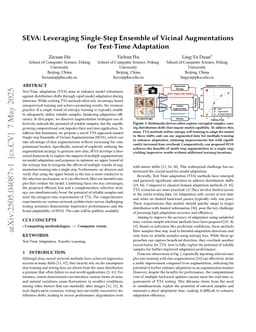 SEVA: Leveraging Single-Step Ensemble of Vicinal Augmentations for Test-Time Adaptation