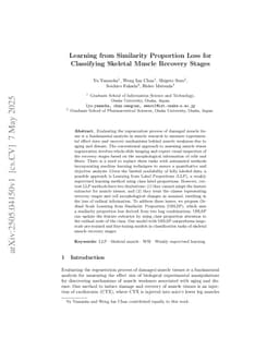 Learning from Similarity Proportion Loss for Classifying Skeletal Muscle Recovery Stages