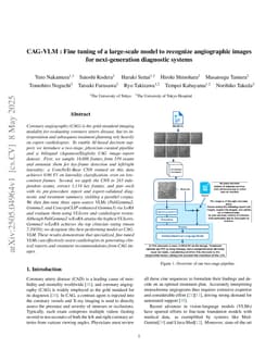 CAG-VLM: Fine-Tuning of a Large-Scale Model to Recognize Angiographic Images for Next-Generation Diagnostic Systems