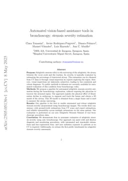 Automated vision-based assistance tools in bronchoscopy: stenosis severity estimation