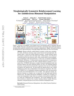 Morphologically Symmetric Reinforcement Learning for Ambidextrous Bimanual Manipulation