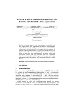 GaMNet: A Hybrid Network with Gabor Fusion and NMamba for Efficient 3D Glioma Segmentation