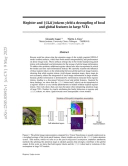 Register and CLS tokens yield a decoupling of local and global features in large ViTs