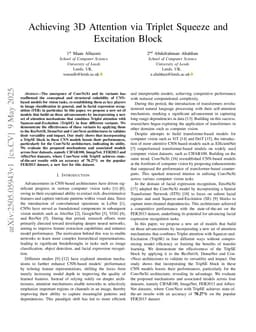 Achieving 3D Attention via Triplet Squeeze and Excitation Block