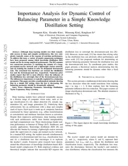 Importance Analysis for Dynamic Control of Balancing Parameter in a Simple Knowledge Distillation Setting