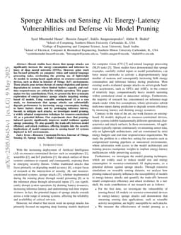 Sponge Attacks on Sensing AI: Energy-Latency Vulnerabilities and Defense via Model Pruning