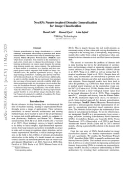 NeuRN: Neuro-inspired Domain Generalization for Image Classification
